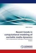 Recent trends in computational modeling of excitable media dynamics