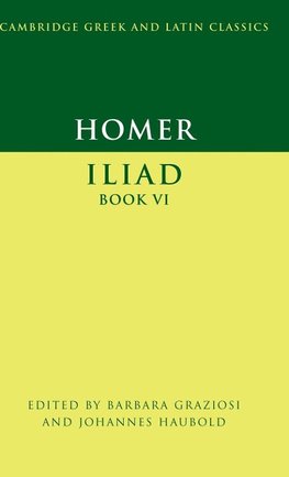 Iliad, Book 6