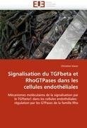 Signalisation du TGFbeta et RhoGTPases dans les cellules endothéliales