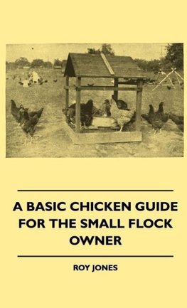 A Basic Chicken Guide For The Small Flock Owner