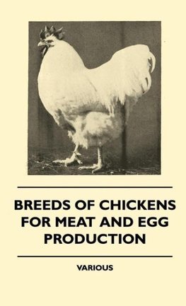 Breeds of Chickens for Meat and Egg Production