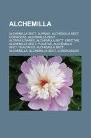 Alchemilla