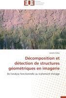 Décomposition et détection de structures géométriques en imagerie