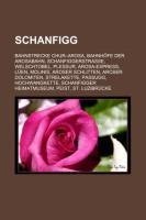 Schanfigg