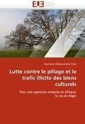 Lutte contre le pillage et le trafic illicite des biens culturels