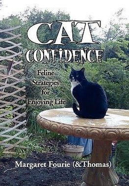 Cat Confidence