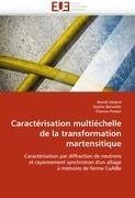 Caractérisation multiéchelle de la transformation martensitique