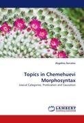 Topics in Chemehuevi Morphosyntax