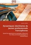 Dynamiques identitaires de jeunes professionnels francophones