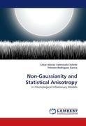 Non-Gaussianity and Statistical Anisotropy