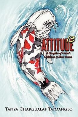 Attitude 13