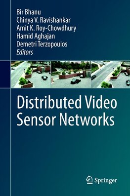 Distributed Video Sensor Networks