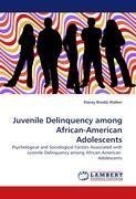 Juvenile Delinquency among African-American Adolescents