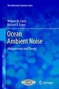 Ocean Ambient Noise