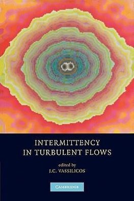 Intermittency in Turbulent Flows