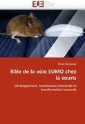 Rôle de la voie SUMO chez la souris