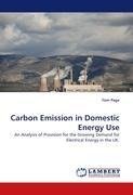 Carbon Emission in Domestic Energy Use