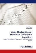 Large Fluctuations of Stochastic Differential Equations