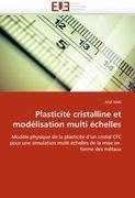 Plasticité cristalline et modélisation multi échelles