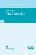 The Nucleolus