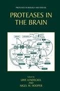 Proteases in the Brain