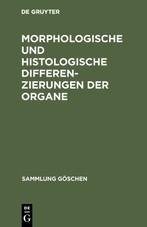 Morphologische und histologische Differenzierungen der Organe