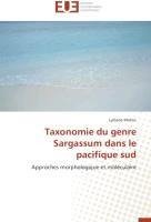 Taxonomie du genre Sargassum dans le pacifique sud