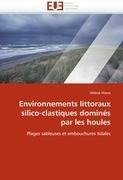 Environnements littoraux silico-clastiques dominés par les houles