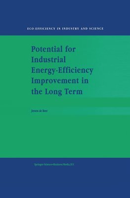 Potential for Industrial Energy-Efficiency Improvement in the Long Term