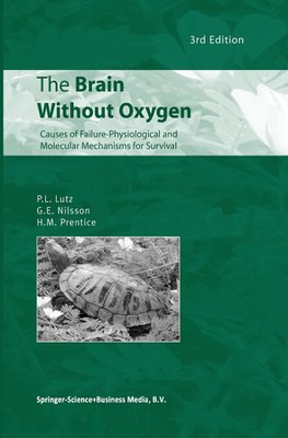 The Brain Without Oxygen