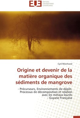 Origine et devenir de la matière organique des sédiments de mangrove