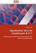 Signalisation dans les lymphocytes B et T: