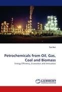 Petrochemicals from Oil, Gas, Coal and Biomass