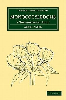 Monocotyledons