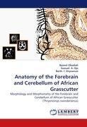 Anatomy of the Forebrain and Cerebellum of African Grasscutter