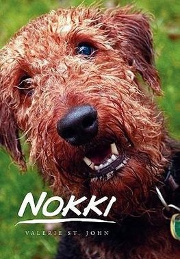 Nokki