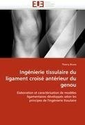 Ingénierie tissulaire du ligament croisé antérieur du genou