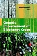 Genetic Improvement of Bioenergy Crops