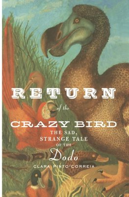 Return of the Crazy Bird