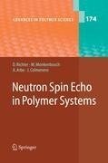 Neutron Spin Echo in Polymer Systems