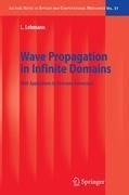 Wave Propagation in Infinite Domains