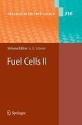 Fuel Cells II