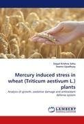 Mercury induced stress in wheat (Triticum aestivum L.) plants