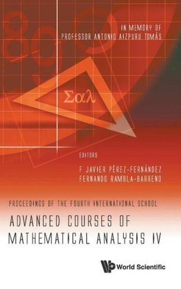 Advanced Courses of Mathematical Analysis IV