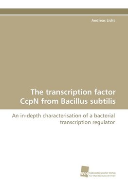 The transcription factor CcpN from Bacillus subtilis