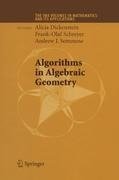 Algorithms in Algebraic Geometry