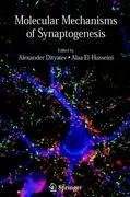 Molecular Mechanisms of Synaptogenesis