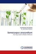 Semecarpus anacardium