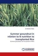 Summer groundnut in relation to N nutrition to transplanted Rice