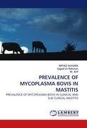 PREVALENCE OF MYCOPLASMA BOVIS IN MASTITIS